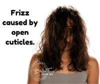 Frizz (size).jpg