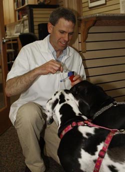 pet-compounding.jpg
