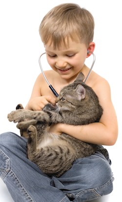 veterinary-compounding.jpg