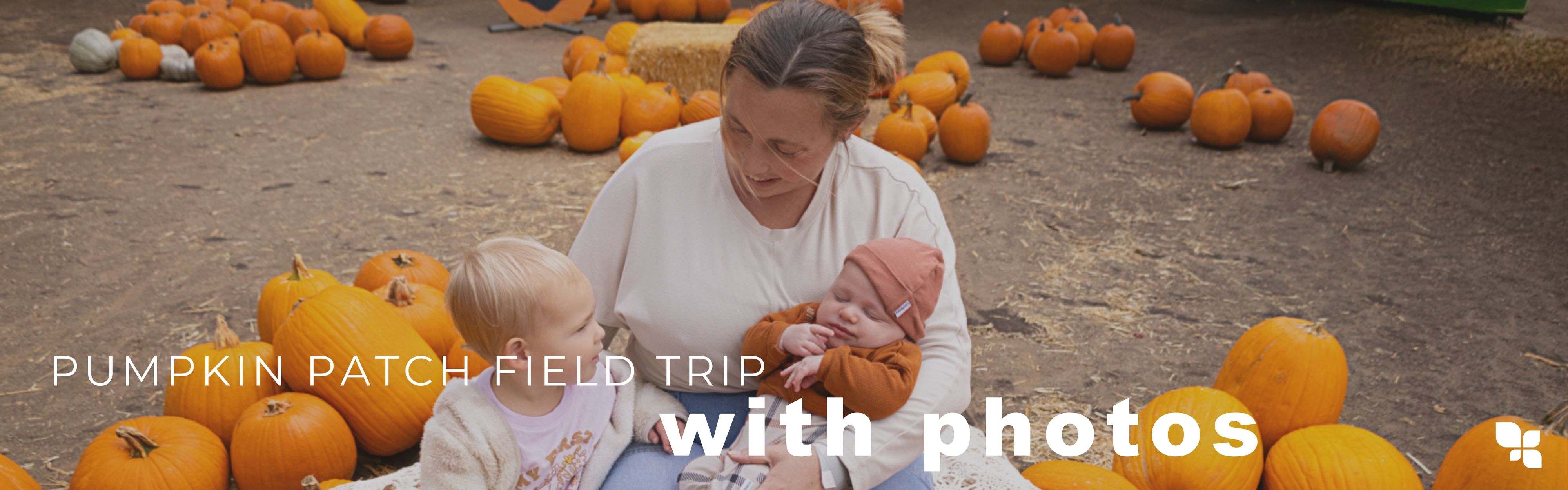 pumpkin patch.jpg