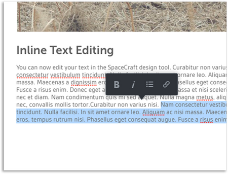 inlinetext-detail-2x.png