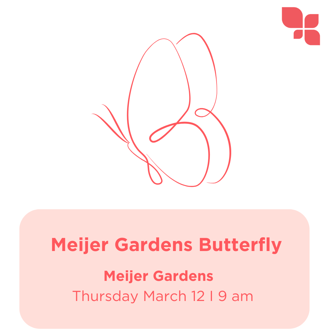 Butterflies graphic.png