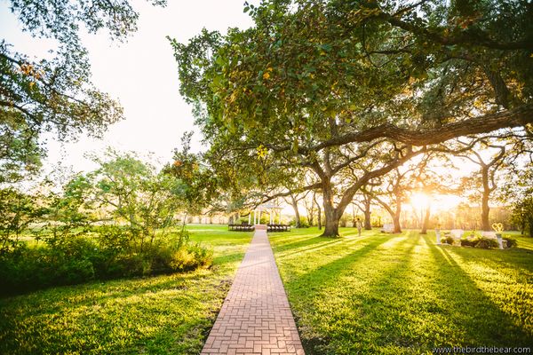 Texas Wildflower Wedding Venue