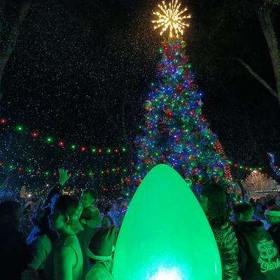treelight25.jpg