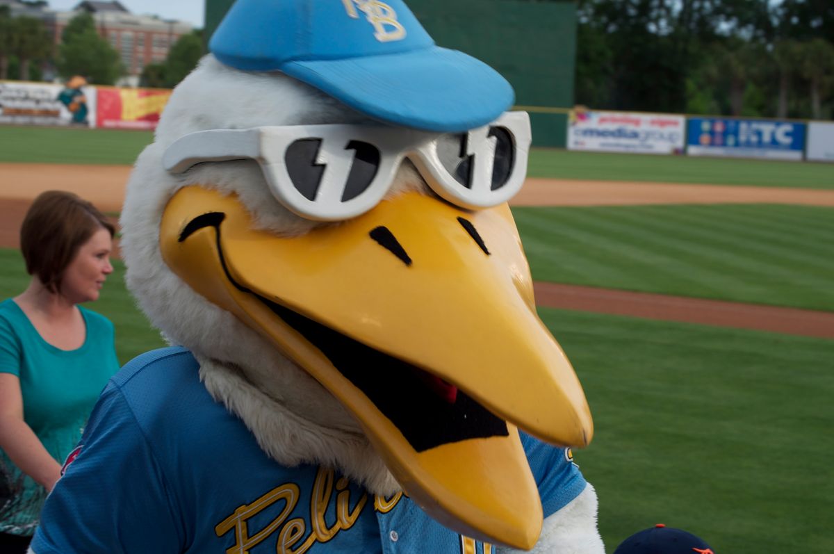 Myrtle Beach Pelicans Baseball mySurfside