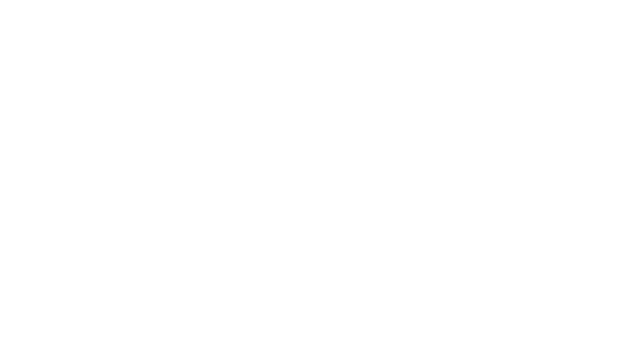 Porter Design Group