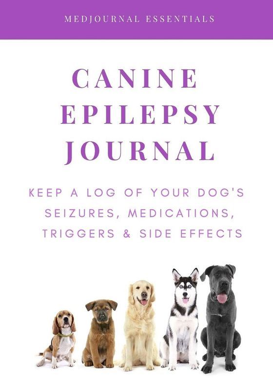 Epilepsy Journal graphic Veterinary Compounding