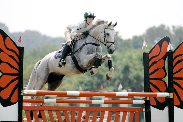 millbrook horse show jump.jpg