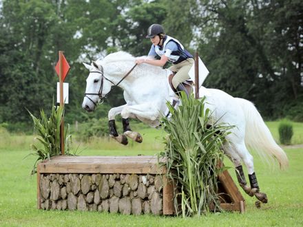 millbrook horse show jump 2 (1).jpg