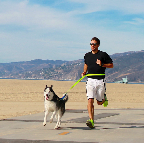 Man running with dog.png