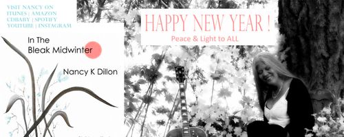 Banner ReverbN Bleaky Happy NY Jan 2019 copy.jpg