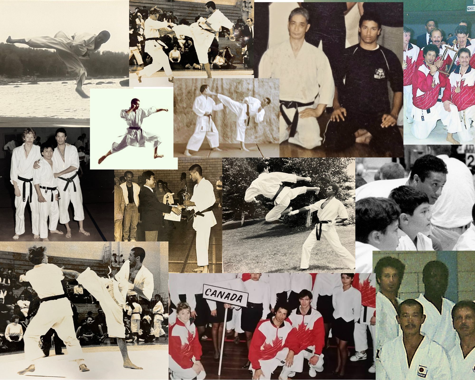 foundations shah website.jpg