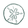 Georgies-sanddollar-seaweed.png