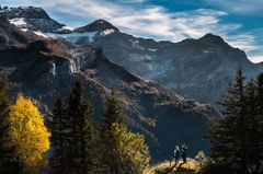 landscape.jpg