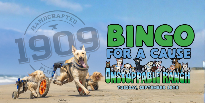 Bingo For A cause GOOGLE.png
