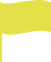 yellow-flag.png