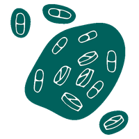 Pharmacy Services