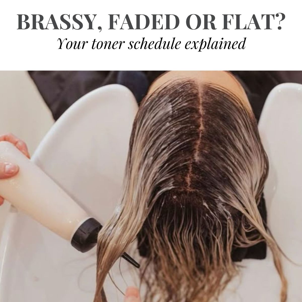 Brassy, faded or flat? Your toning schedule explained.jpg