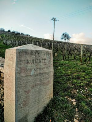 la romanee.jpg