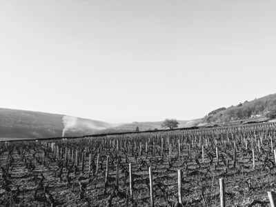gevrey st jacques black and white.jpg