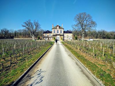 dardhuy whitney seng.jpg