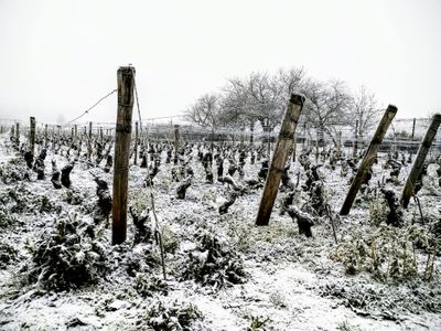 vosne romanee snow.jpg