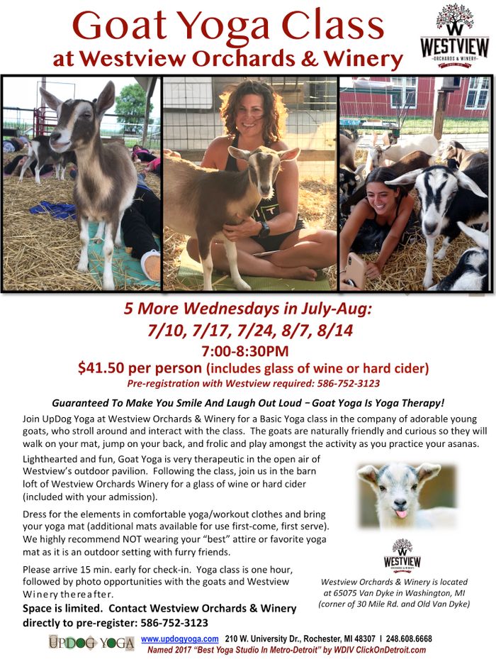 Goat Yoga Westview Jul_Aug 2019_UpDog.jpg