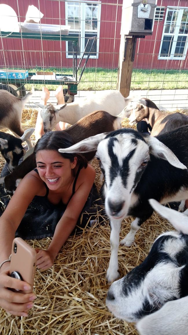 Goat Yoga Westview_071818.jpg