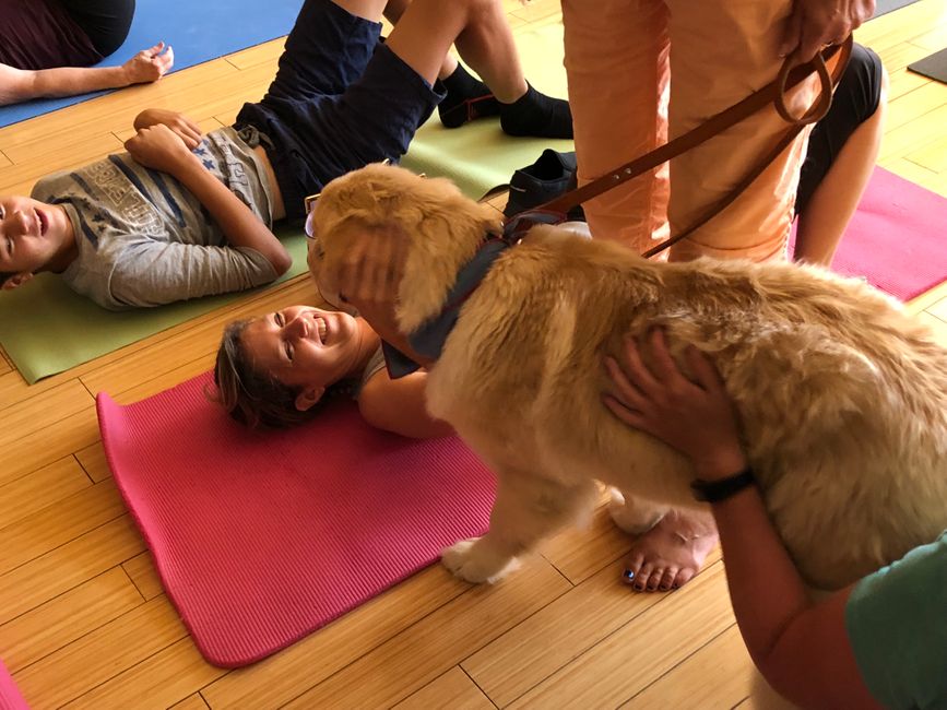 Puppy Love5_072818.jpg