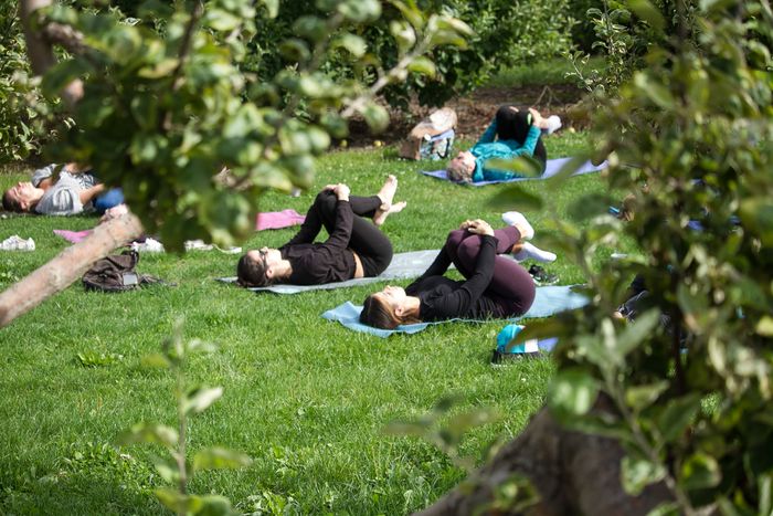 Yoga-9206.jpg