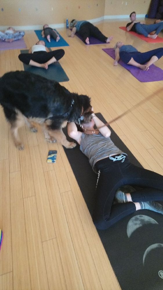 Puppy Love18 Sept 29.jpg