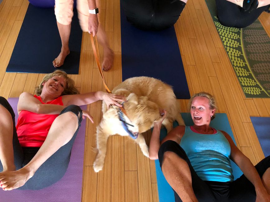 Puppy Love_072818.jpg