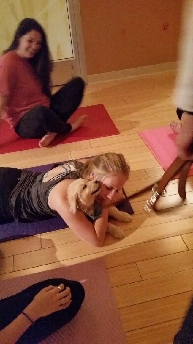 Puppy Love3_111817.jpg