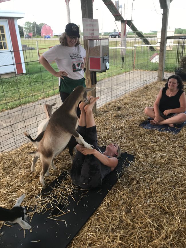 Goat Yoga Westview_071218.jpg