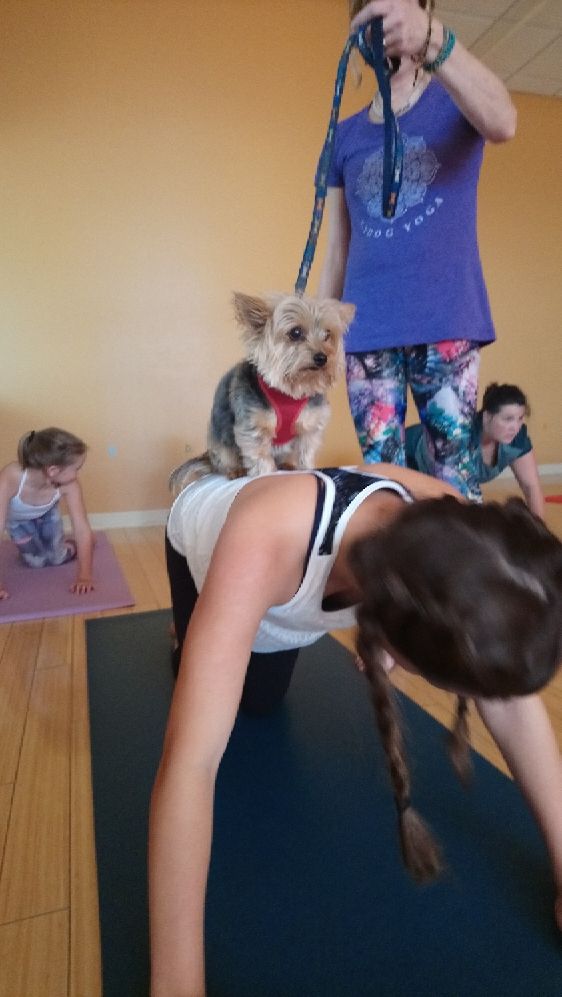 Puppy Love9 Sept 29.jpg