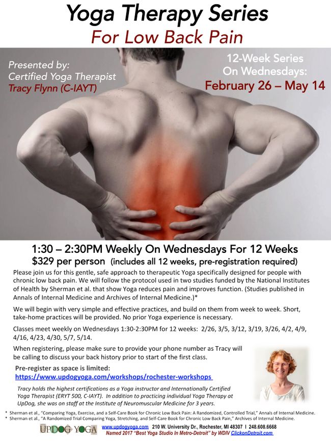 Yoga Therapy Low Back Pain Workshop Series Feb-May_UpDog.jpg