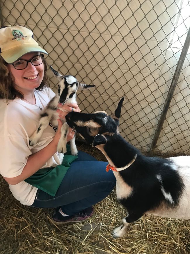 Goat Yoga Aug 9 Pic2.jpg