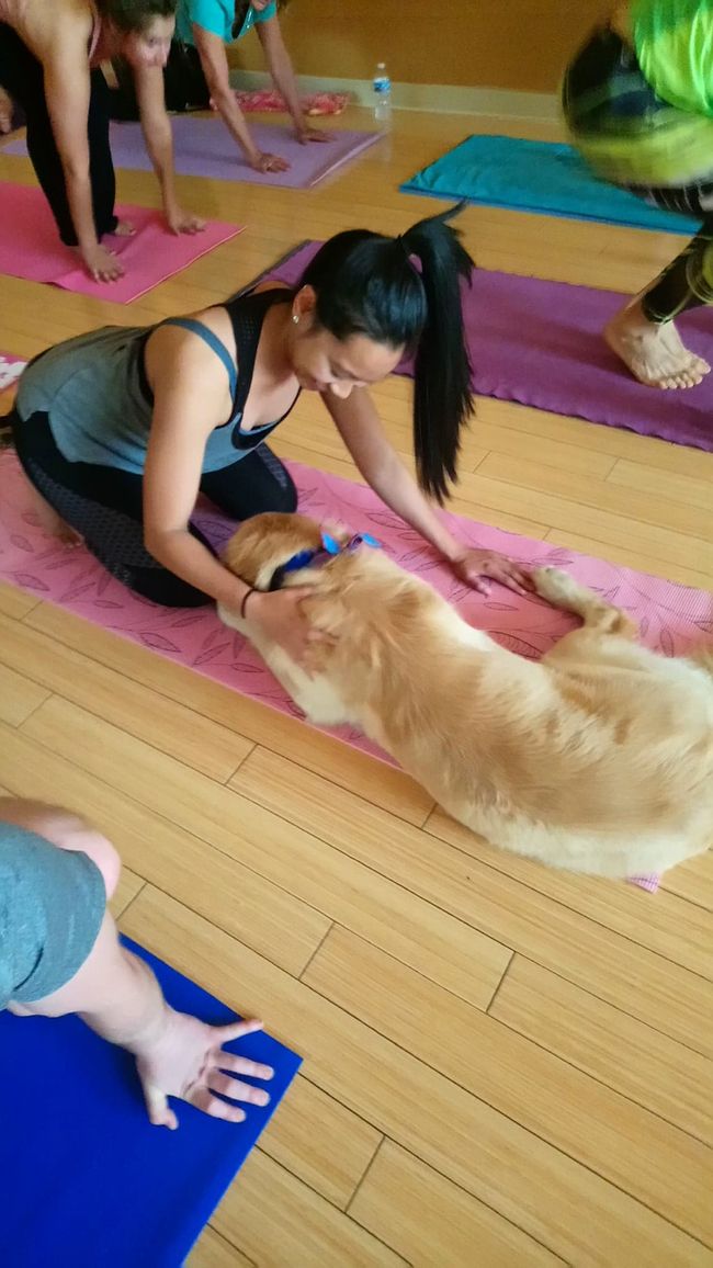 Puppy Love_June 2018.jpg