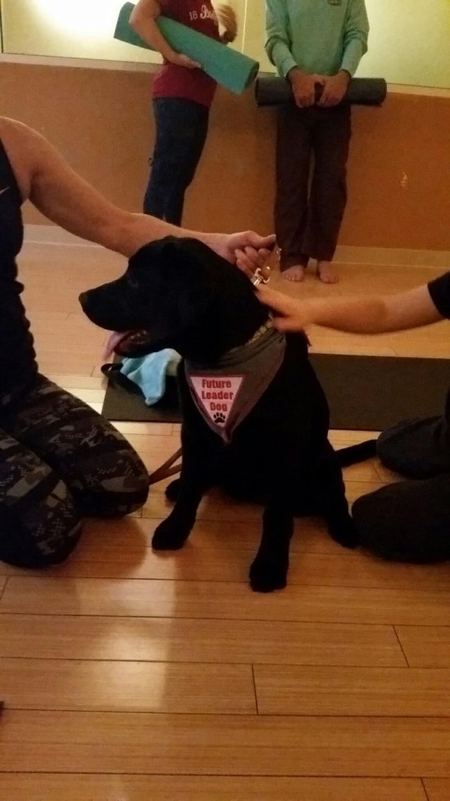 Puppy Love2_111817.jpg