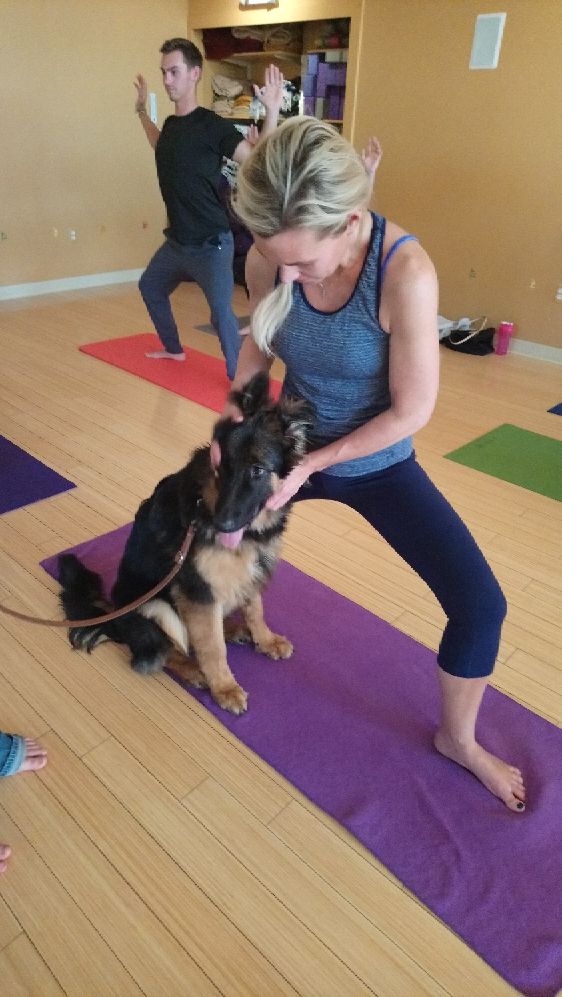 Puppy Love16_Sept29.jpg