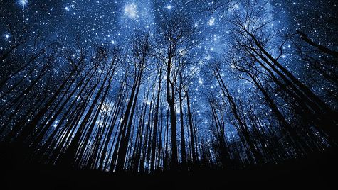 stars-starry-starry-night-night-sky-wallpaper-preview.jpg