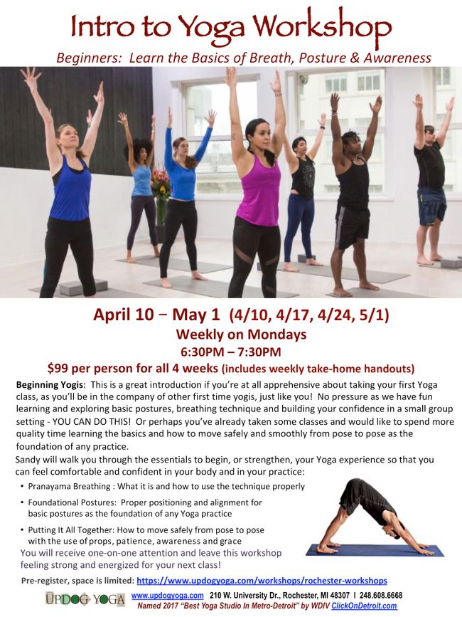Intro to Yoga_April Workshop_UpDog.jpg