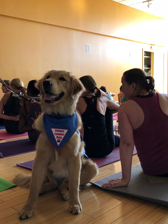 Puppy Love1_072818.jpg