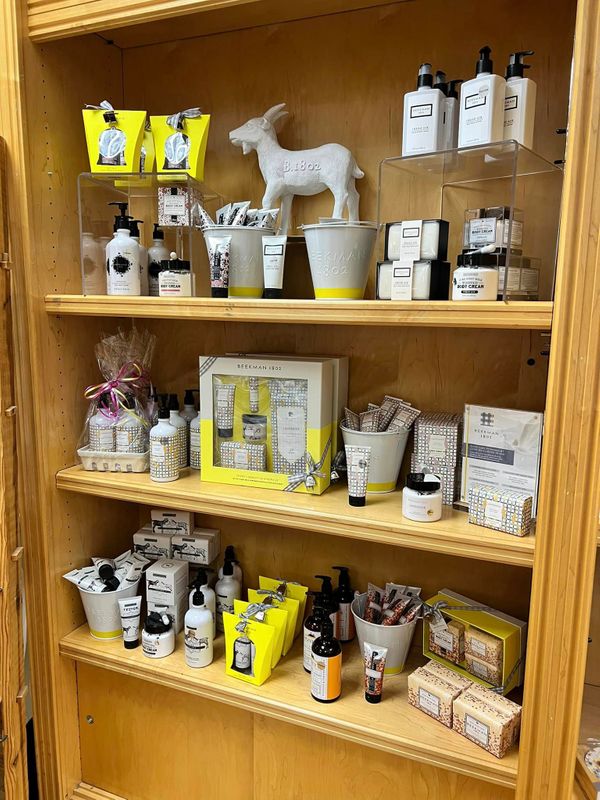 Gift shop with a variety of products Gift Shop