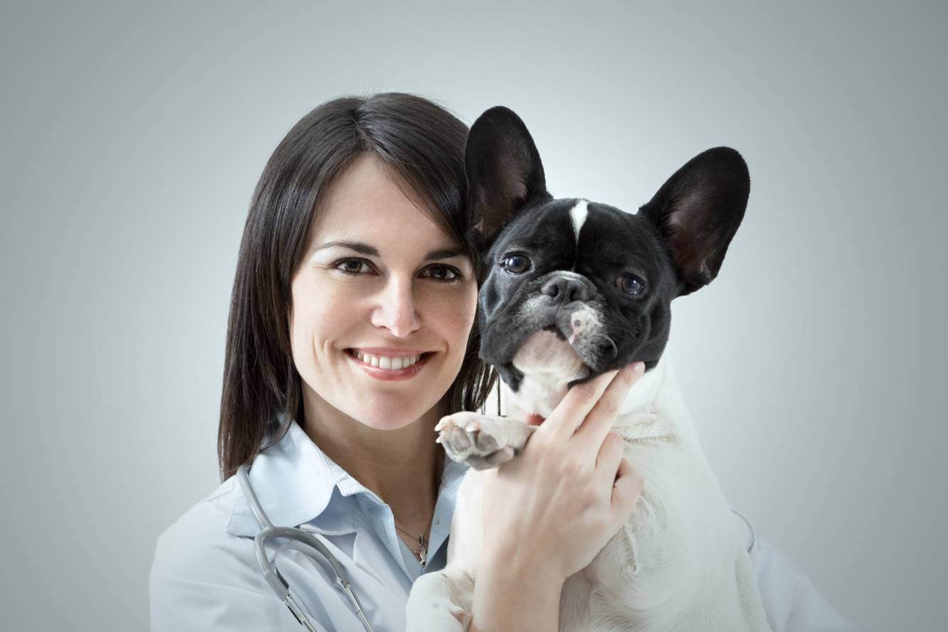 Pet Care