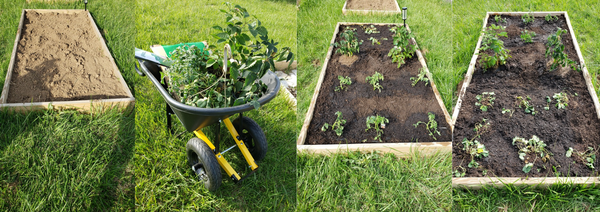 Healthy Life Habitat - Community Garden