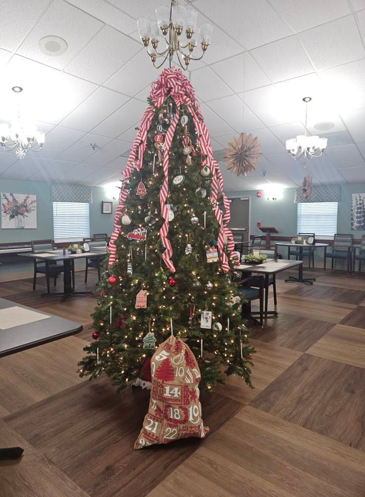 Christmas tree 2024.jpg