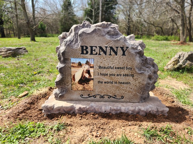 benny.jpg