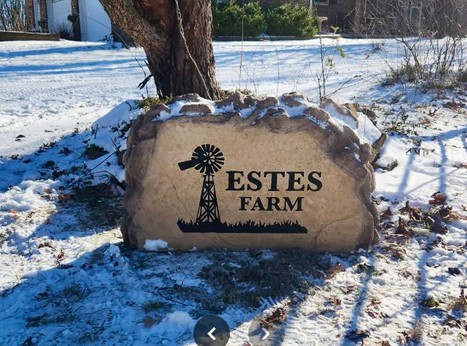 estes2.jpg