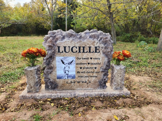 Lucille.jpg